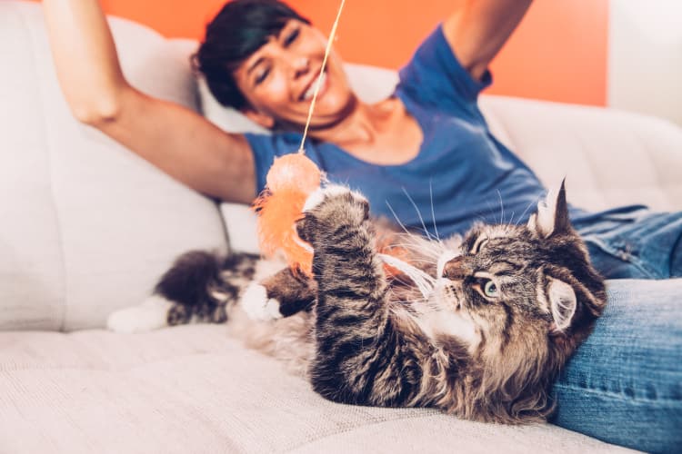 Resident and her cat playing in their new home at Siena Apartments in Plantation, Florida