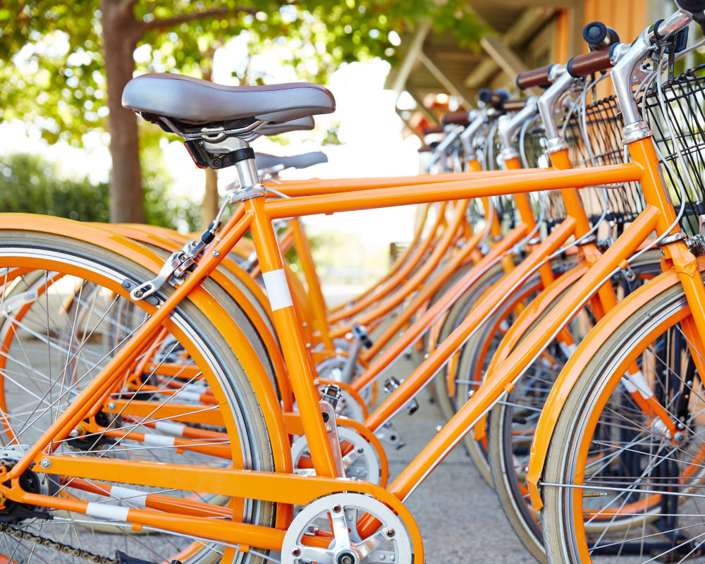 Bike-share station near Haven New Providence in New Providence, New Jersey
