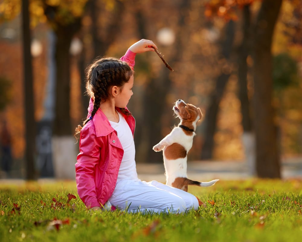  Resident playing with her puppy outside their new home at Canopy at Citrus Park in Tampa, Florida