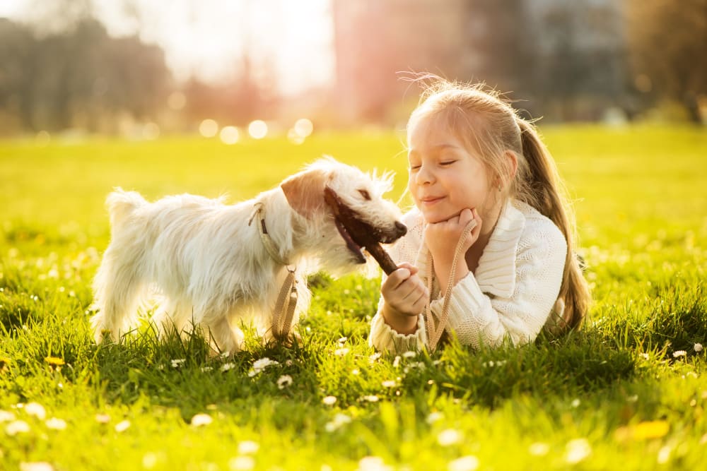 Little girl playing with her dog at Residences at The Triangle in Austin, Texas
