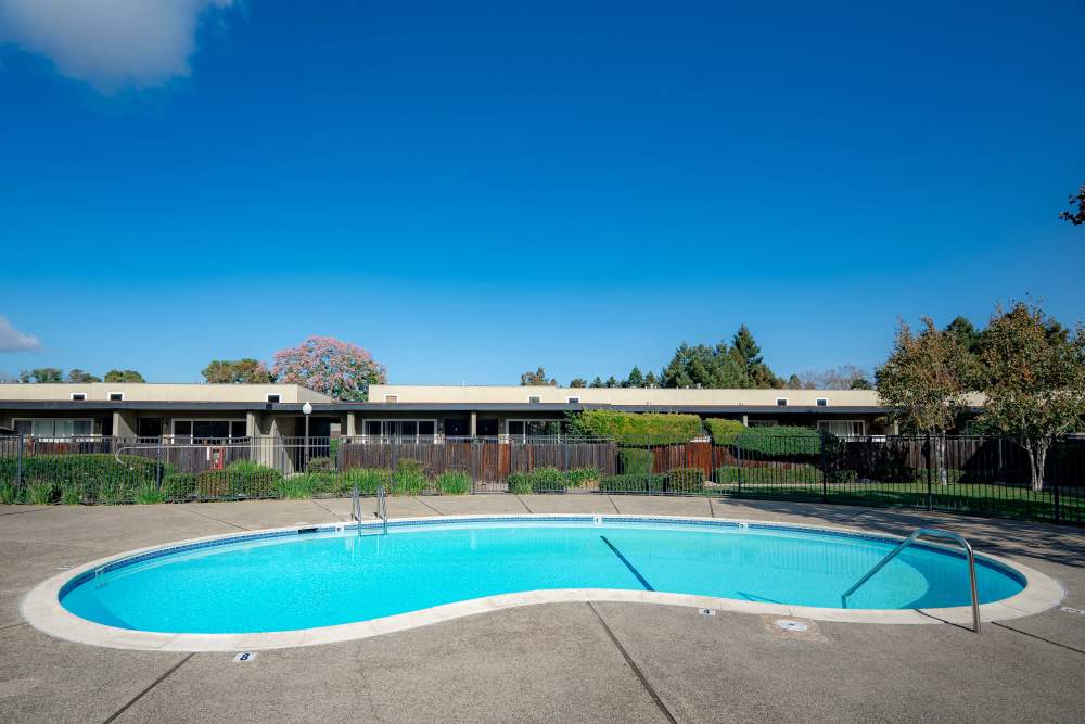 Swimming pool at The Chateau Apartments in Mountain View, California