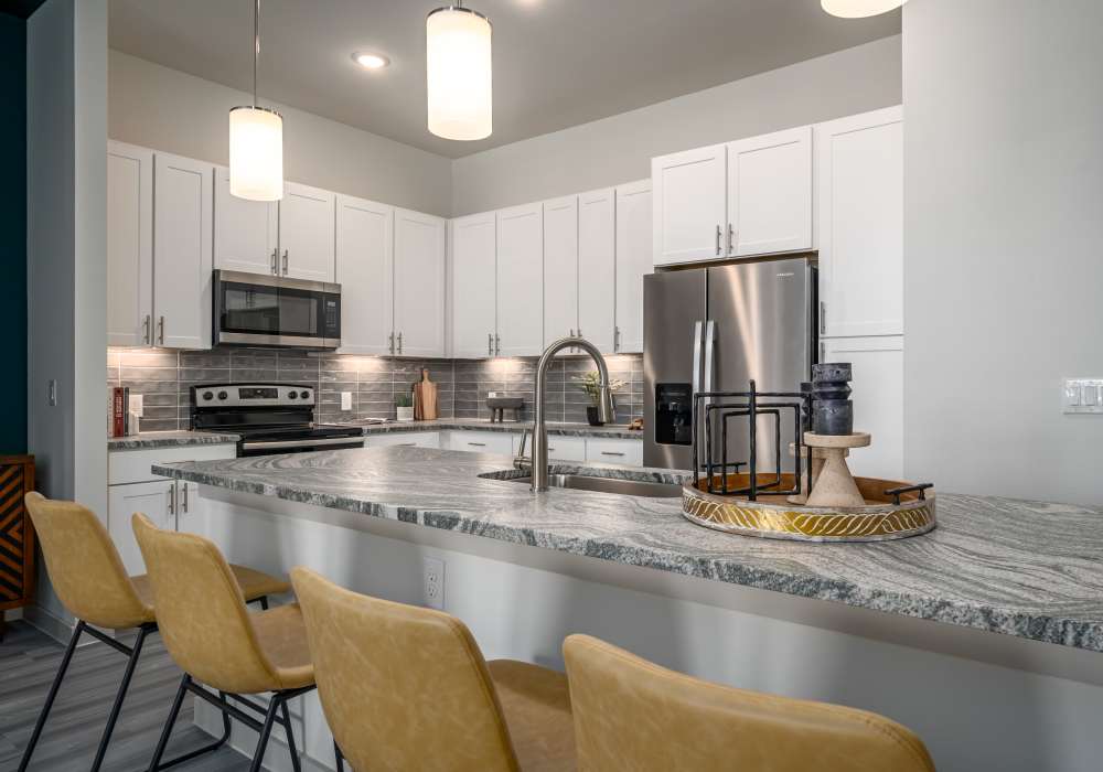 Granite countertops with stainless steel appliances at Charleston at Fannin Station in Houston, Texas