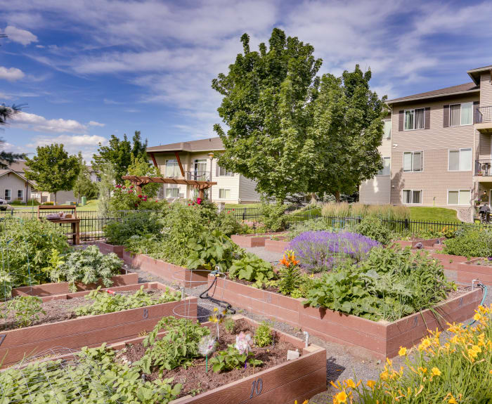 Lush community garden at Big Trout Lodge in Liberty Lake, WA