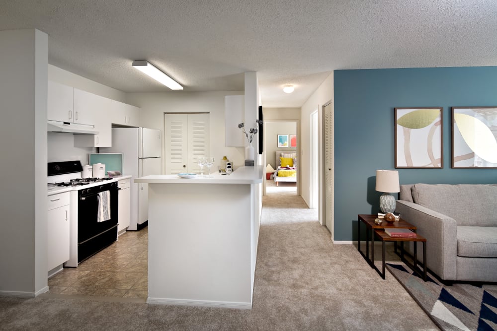 Modern kitchen with black appliances at Artisan at Lawrenceville in Lawrenceville, New Jersey