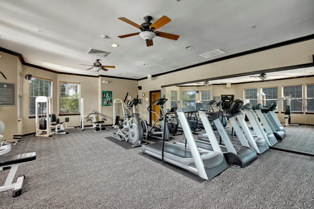 Fitness center at Avanti Luxury Apartments in Bel Air, Maryland