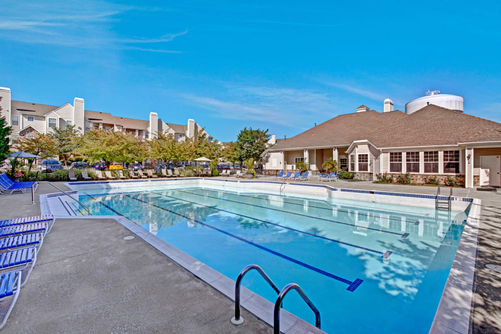Swimming pool at Avanti Luxury Apartments in Bel Air, Maryland
