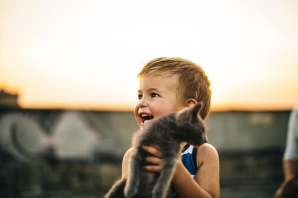 Kid holding kitten at Retreat at Hart Ranch in San Antonio, Texas