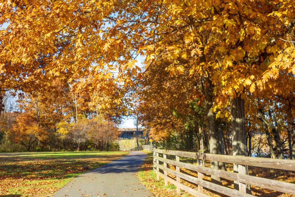 Beautiful view of a country road near Autumn Chase in Ellington, Connecticut