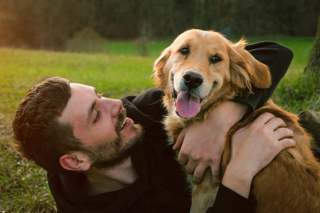 Happy dog and its owner at Studio West in Boone, North Carolina