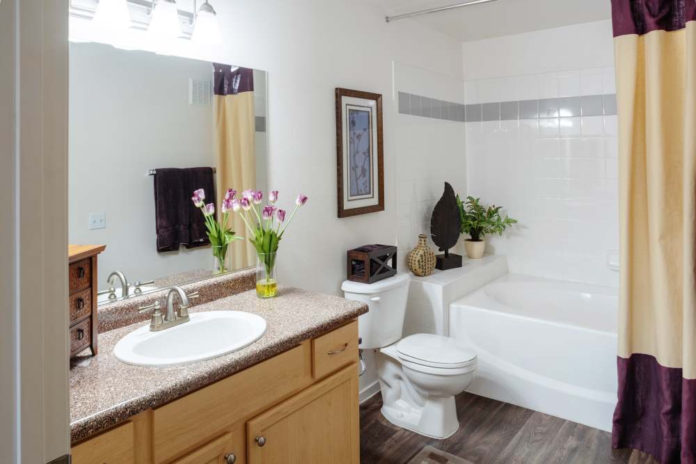 Bedroom & Bathroom at Cielo Apartment Homes in Henderson, Nevada
