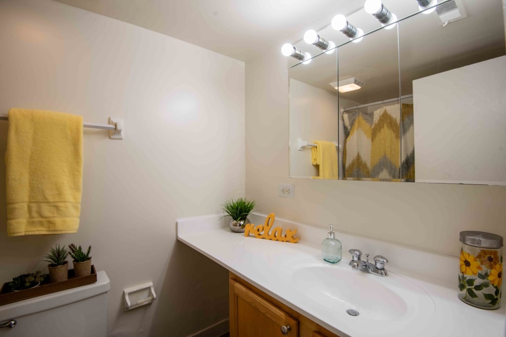 Briarwood Place Apartment Homes offers a bathroom in Laurel, Maryland