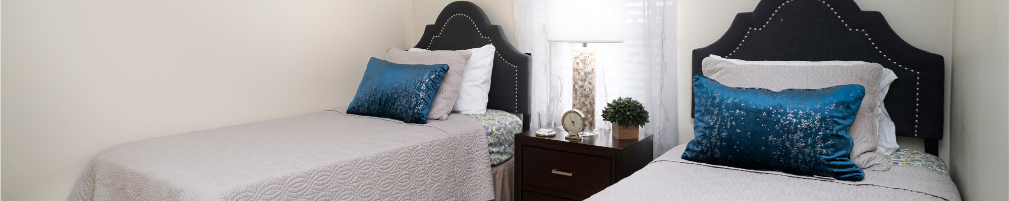 Assisted Living at Harmony at Spring Hill in Lorton, Virginia