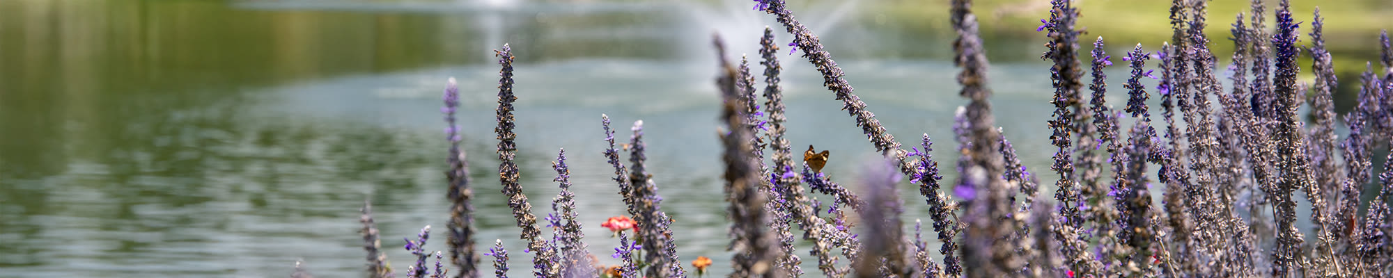 Reviews of Watercrest at Kingwood in Kingwood, Texas