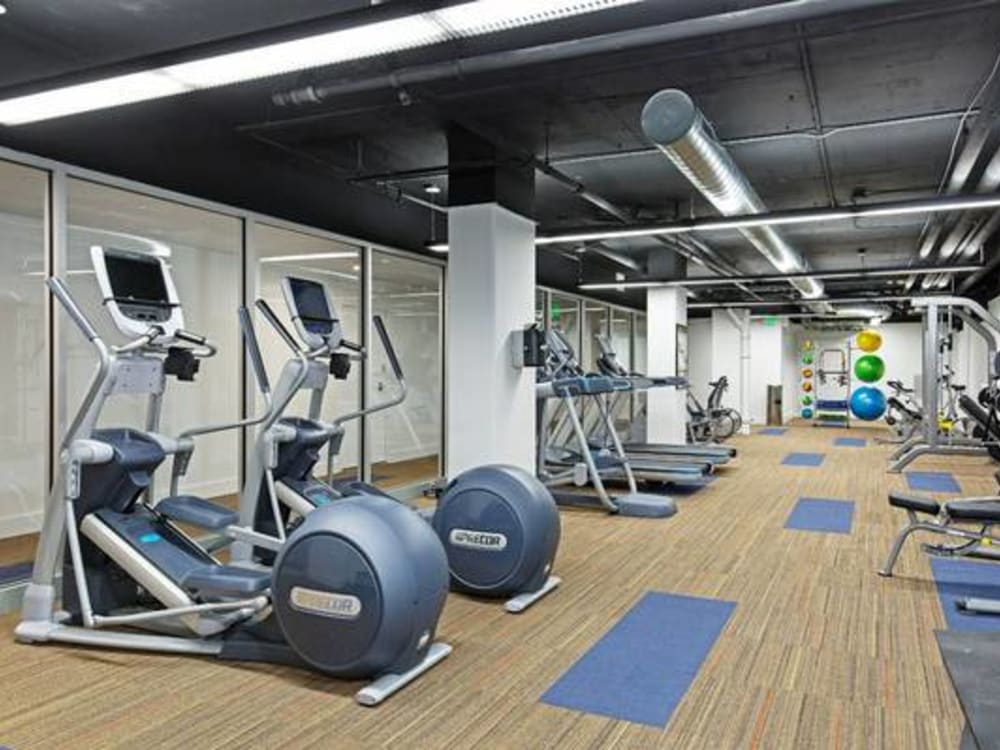 Spin bikes, treadmills, and more in the fitness center at Panorama Apartments in Seattle, Washington