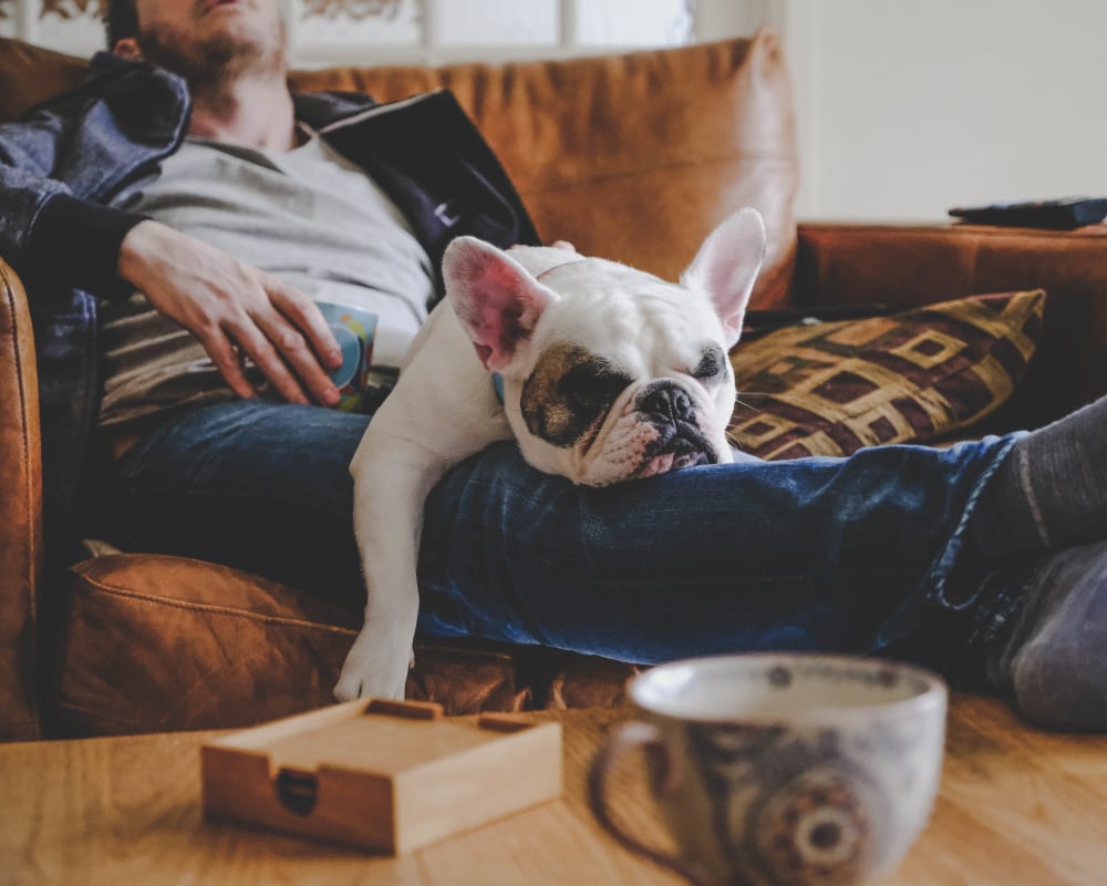 Resident and his dog taking a nap on the couch in their new home at Wimberly at Deerwood in Jacksonville, Florida