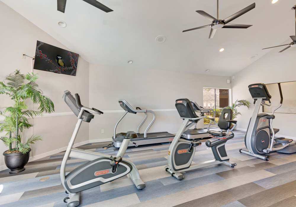 State-of-the-art community fitness center at Waterford Place Apartments in Mesa, Arizona, 