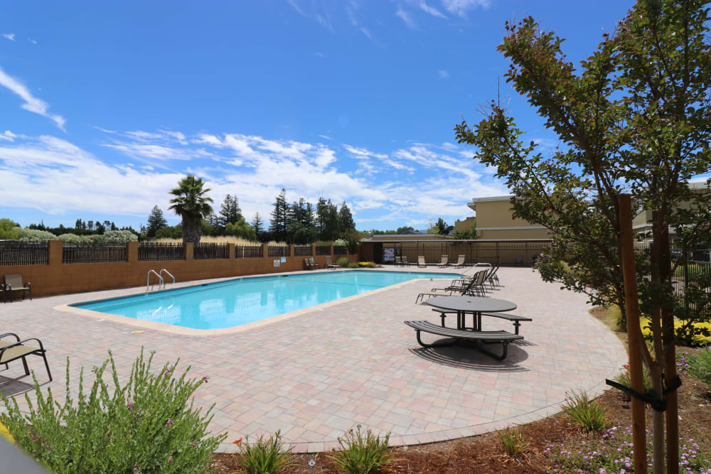 Chaise lounge chairs by the pool at Briarwood Apartment Homes in Livermore, California