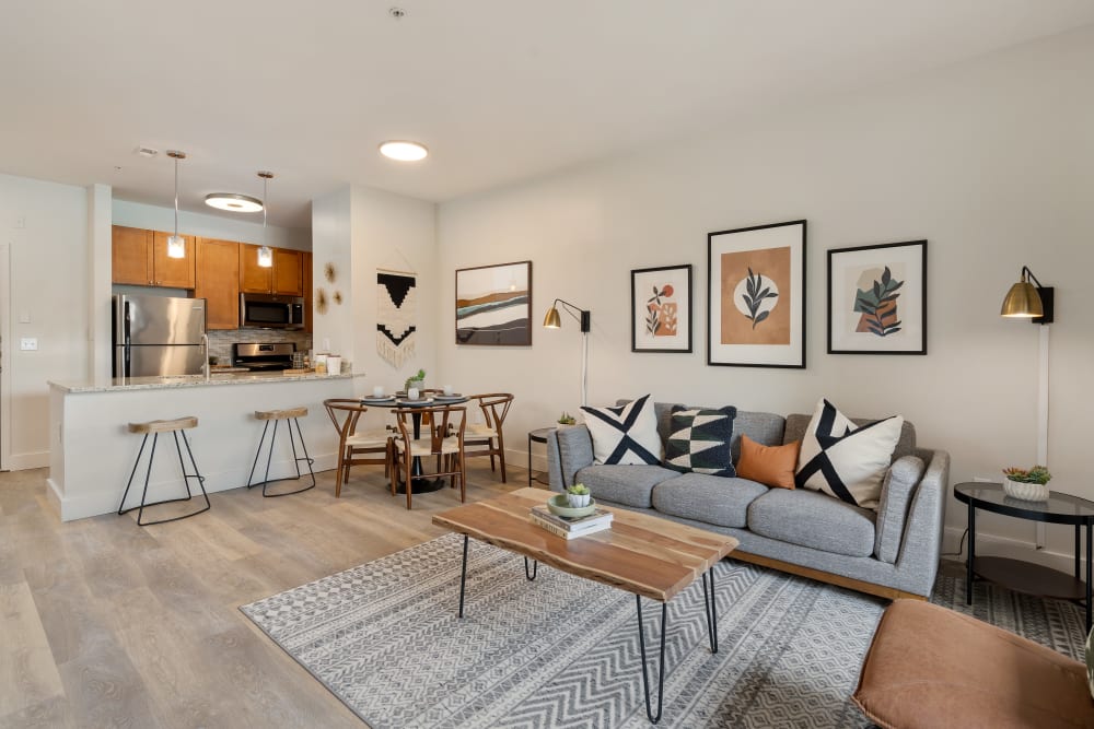 Spacious living room with a large rug at Sofi Parc Grove in Stamford, Connecticut