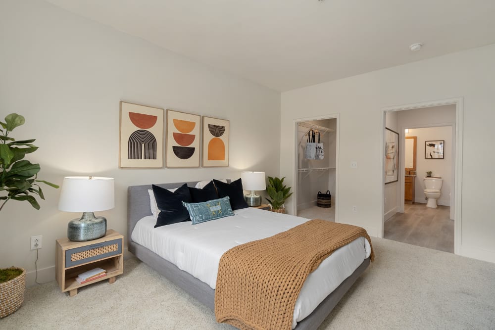 Spacious bedroom with carpet floors at Sofi Parc Grove in Stamford, Connecticut