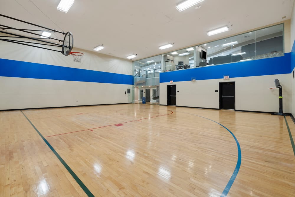Indoor basketball court at Sofi Parc Grove in Stamford, Connecticut