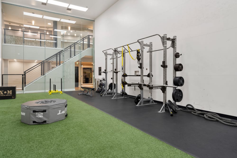 Aerial view of the treadmills in the fitness center at Sofi Parc Grove in Stamford, Connecticut