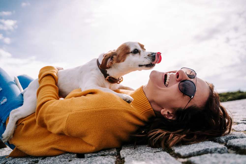 A small dog laying on top of its owner at Park Haven in Fairfield, California