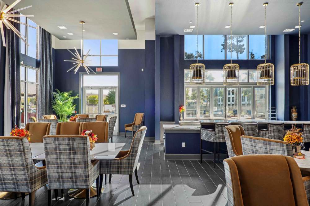 Modern dining area at Reserve Woodland Lakes with navy walls, large windows, plaid chairs, elegant lighting, and floral decor.