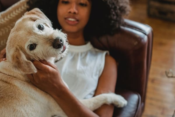 Owner and her pet at The Village at Crestview Apartments in Madison, Tennessee