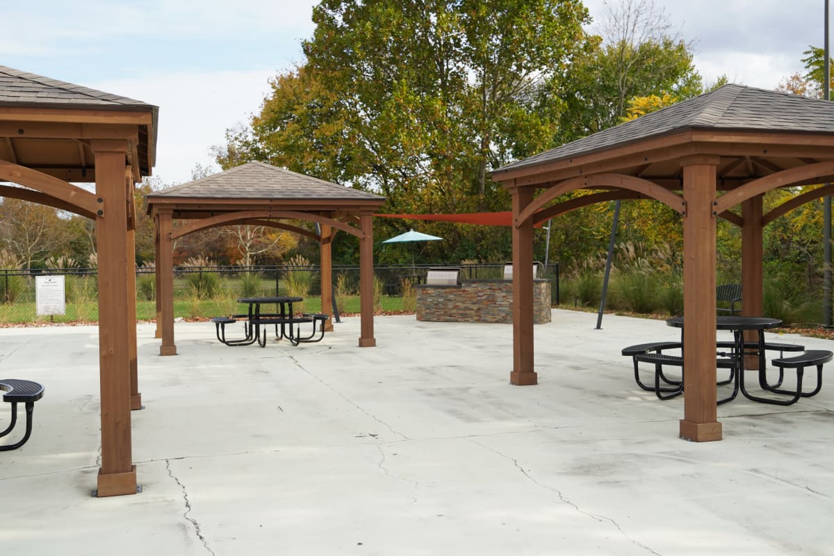 Barbequing and picnic table stations at Cypress Pointe in Louisville, Kentucky