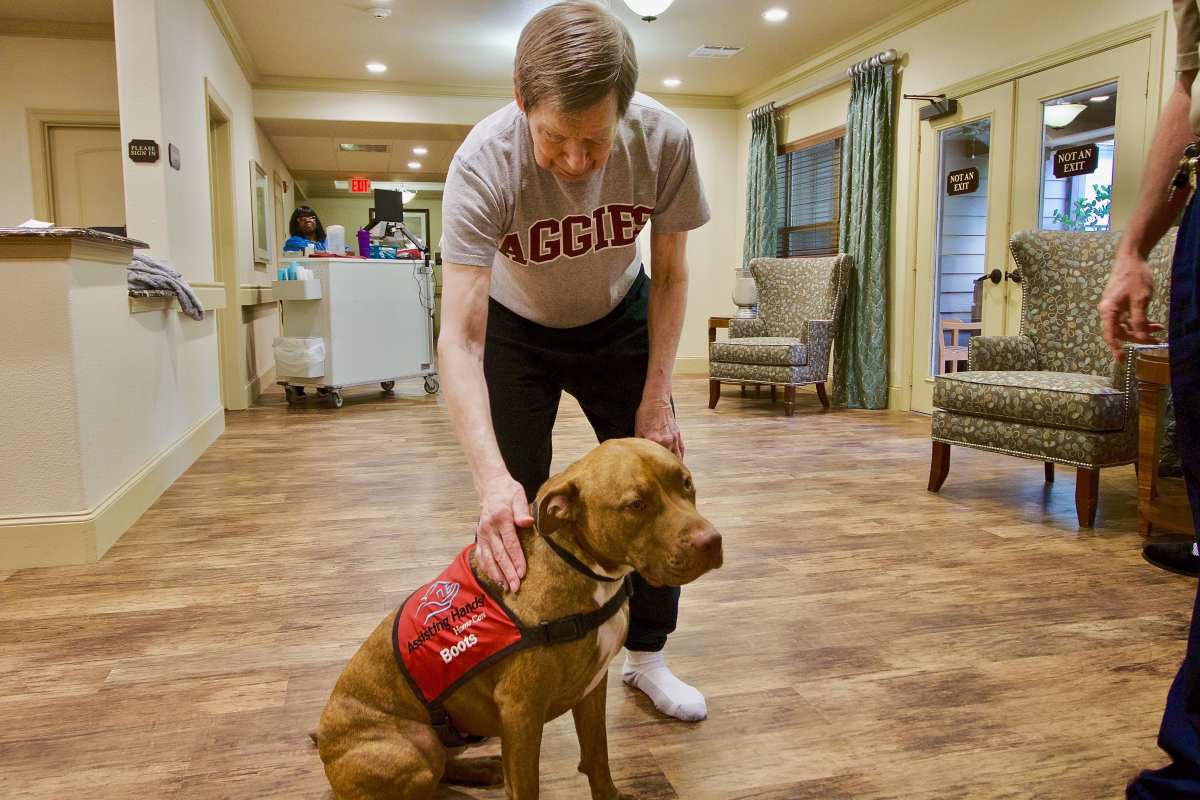 Residents with their dogs at Isle at Watercrest Mansfield in Mansfield, Texas