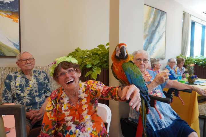 Clearwater residents dressed in colorful Hawaiian attire, smiling and enjoying a luau celebration with a vibrant parrot perched on one guest’s arm.