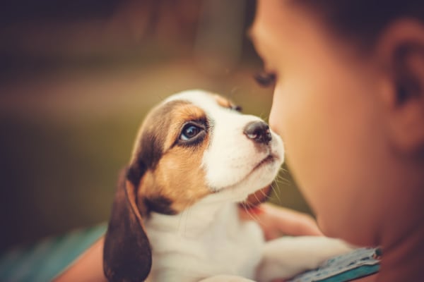 Girl holding dog at Estates at Bee Cave