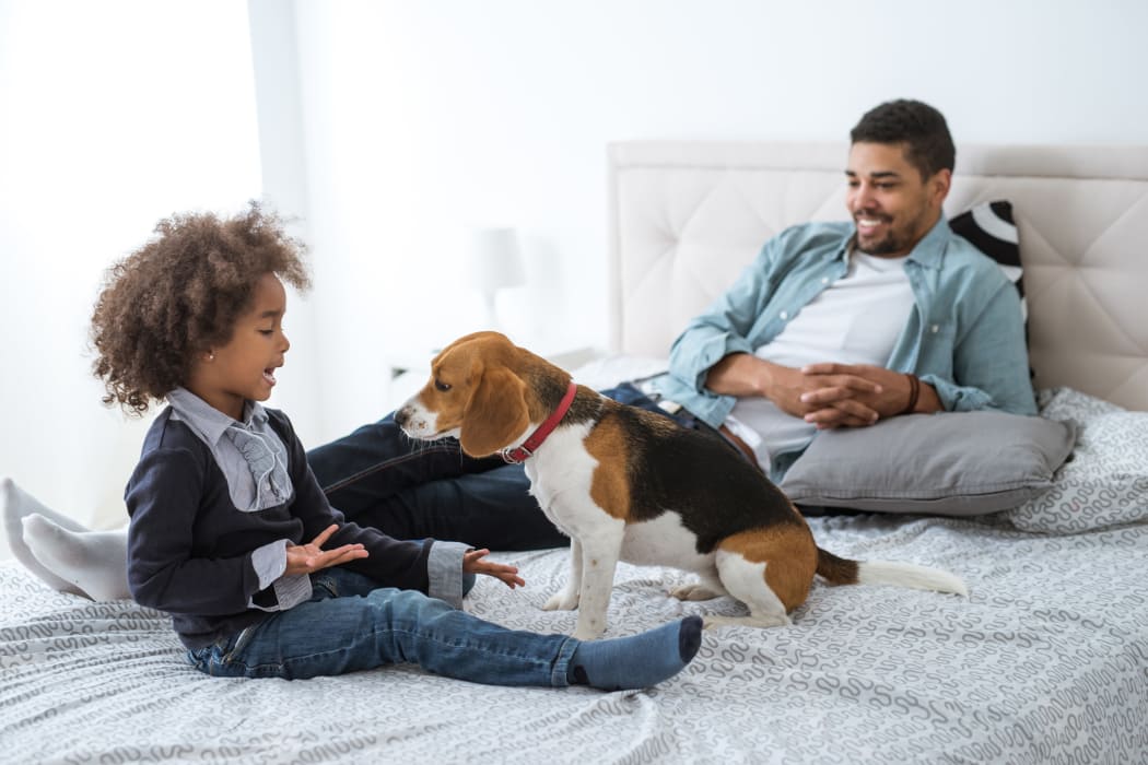 Residents and their pet enjoying their new home at Montelena in Round Rock, Texas