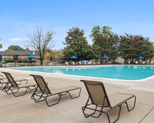 Learn more about amenities at Mount Vernon Square Apartment Homes in Alexandria, Virginia