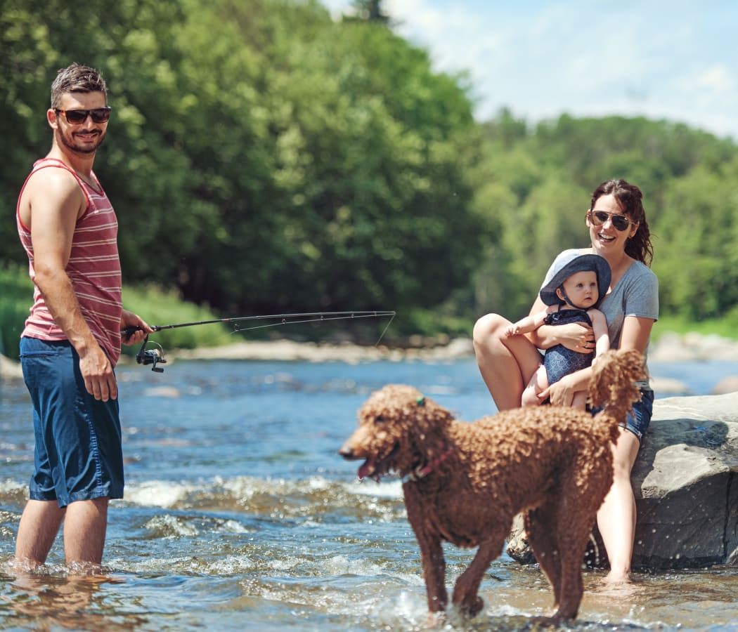 Pet Friendly Apartments In Westminster Colorado