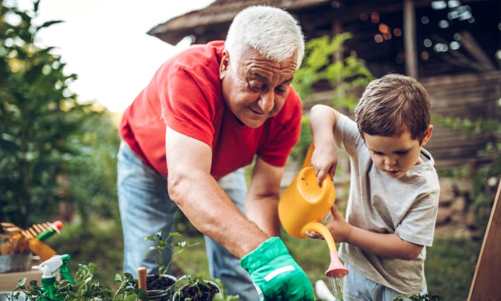 Resident and a child gardening at Amaran Senior Living in Albuquerque, New Mexico. 