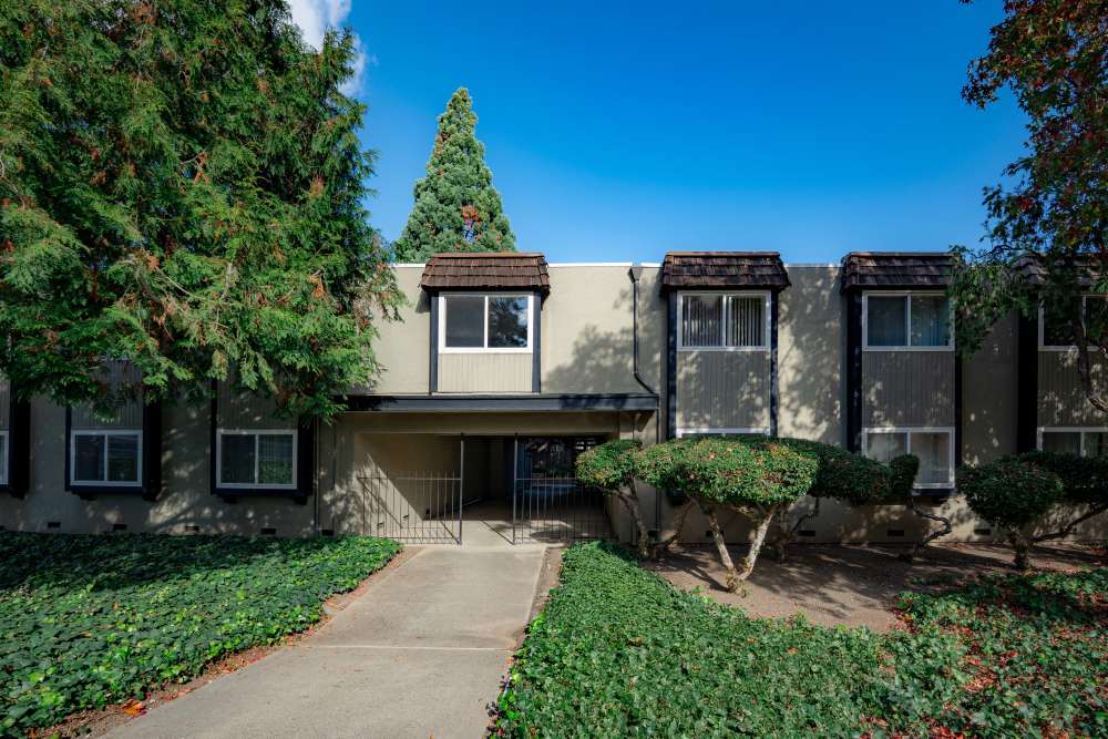 Exterior view of apartment with greenery at The Chateau Apartments in Mountain View, California