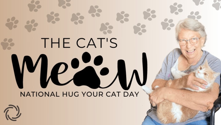In celebration of all things feline, and in honor of National Hug Your Cat Day, we’re talking about the benefits of furry friends, namely, cats! 