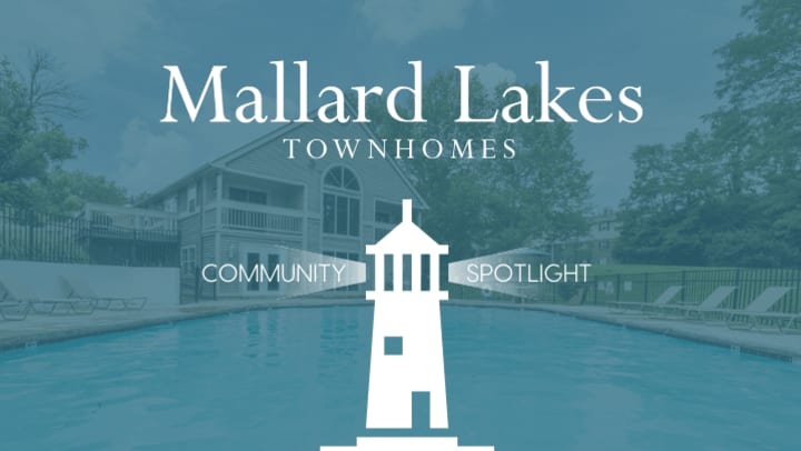 Promotional graphic for Mallard Lakes Townhomes featuring a serene swimming pool with a clubhouse in the background. White text overlay reads ‘Mallard Lakes Townhomes’ with ‘Community Spotlight’ on either side of a central lighthouse icon.