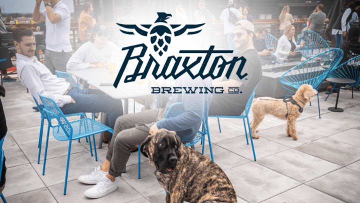 People relax with drinks on a rooftop patio at Braxton Brewing Co., joined by two friendly dogs, with the brewery’s logo overlaid prominently above.