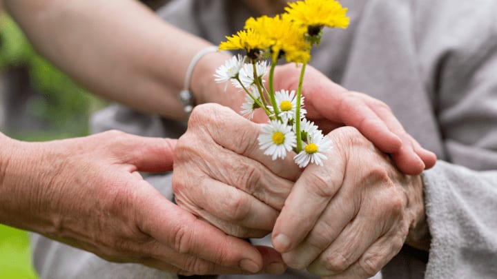 hands holding some flowers