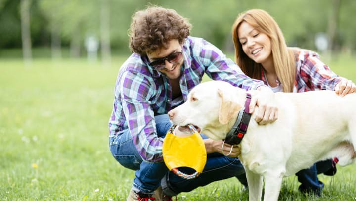 Residents playing with their dog at a local park near Olympus Grand Crossing Apartments in Katy, Texas