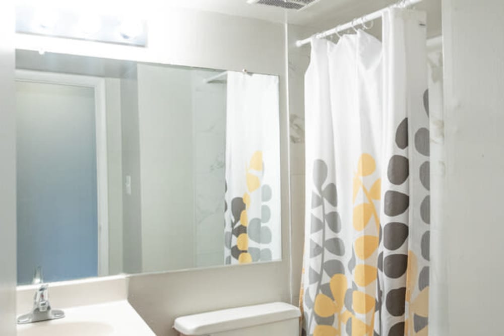 Large vanity mirror in an apartment home's bathroom at Eagle Rock Apartments at Towson in Towson, Maryland