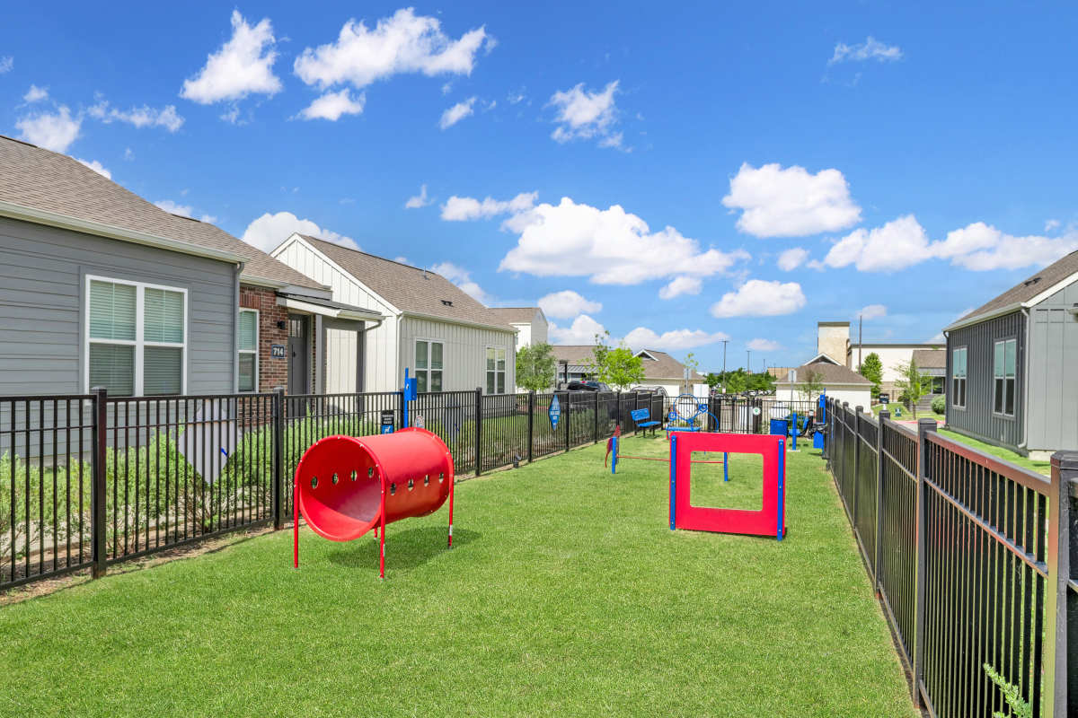 Fenced dog park with agility equipment