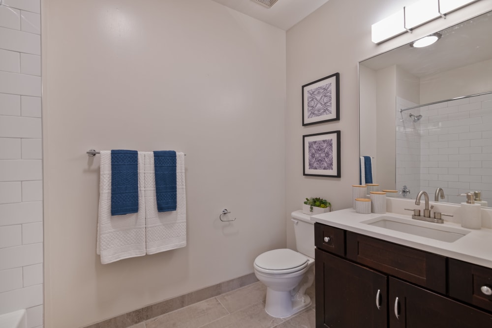 Master bathroom with walk in shower at Sofi Gaslight Commons in South Orange, New Jersey