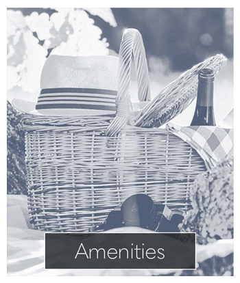 View the amenities at Pinnacle North Apartments in Canandaigua, New York