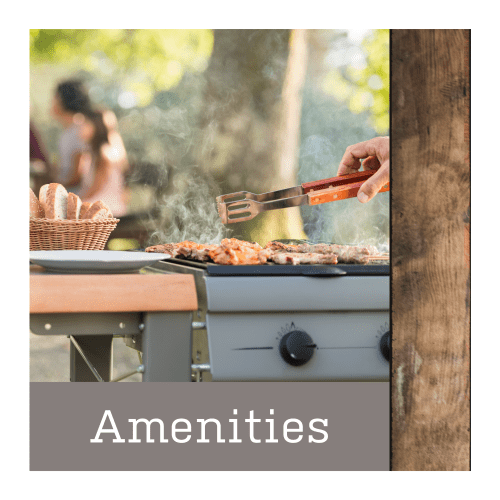 View amenities at Promontory Point Apartments in Austin, Texas