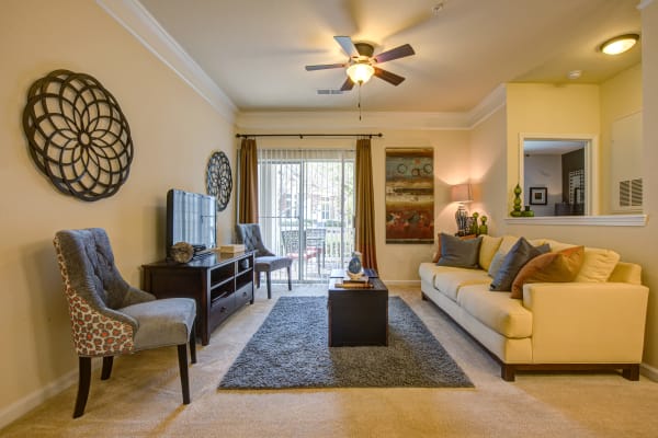 Preserve at Steele Creek apartment features