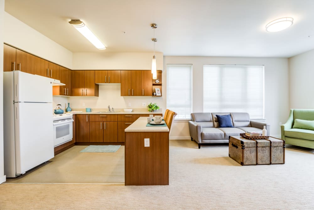 resident living room and kitchen