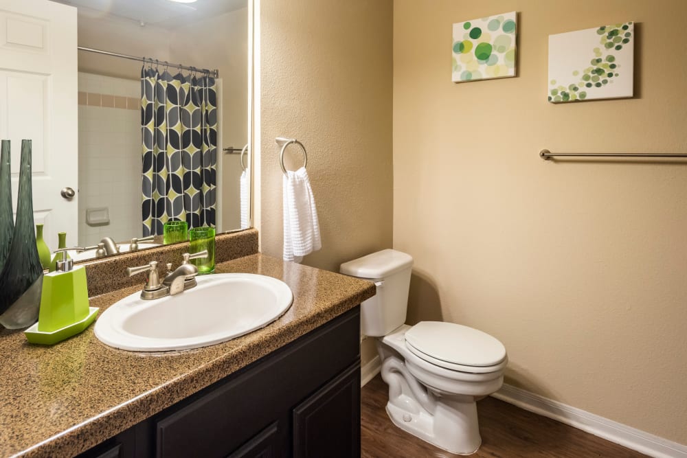 Bathroom at Apartments in San Antonio, Texas